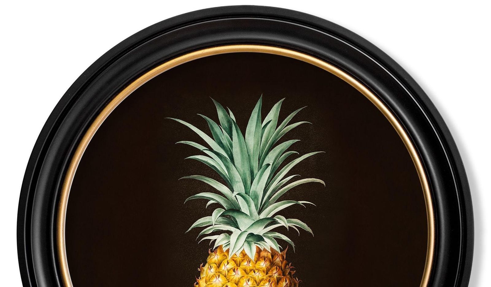 Pineapple Botanical Study Framed Print From French Original Of 1812, New photo 195.0