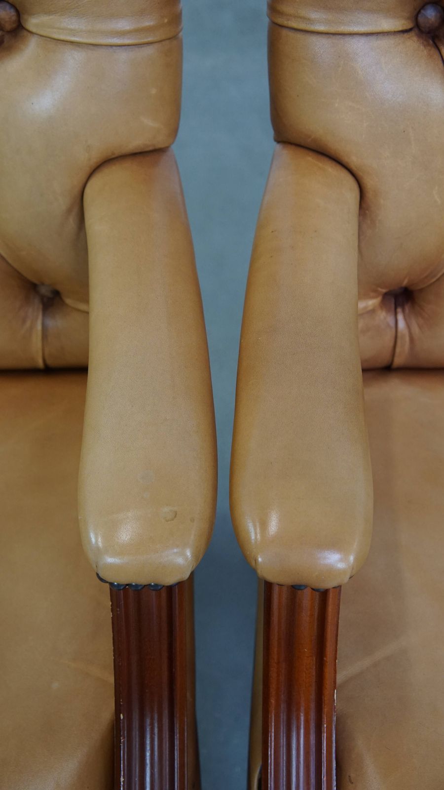 photo furniture Set Of 5 Beautiful And Luxurious Cowhide Chesterfield Dining/Meeting Chairs In A Light Cognac Color