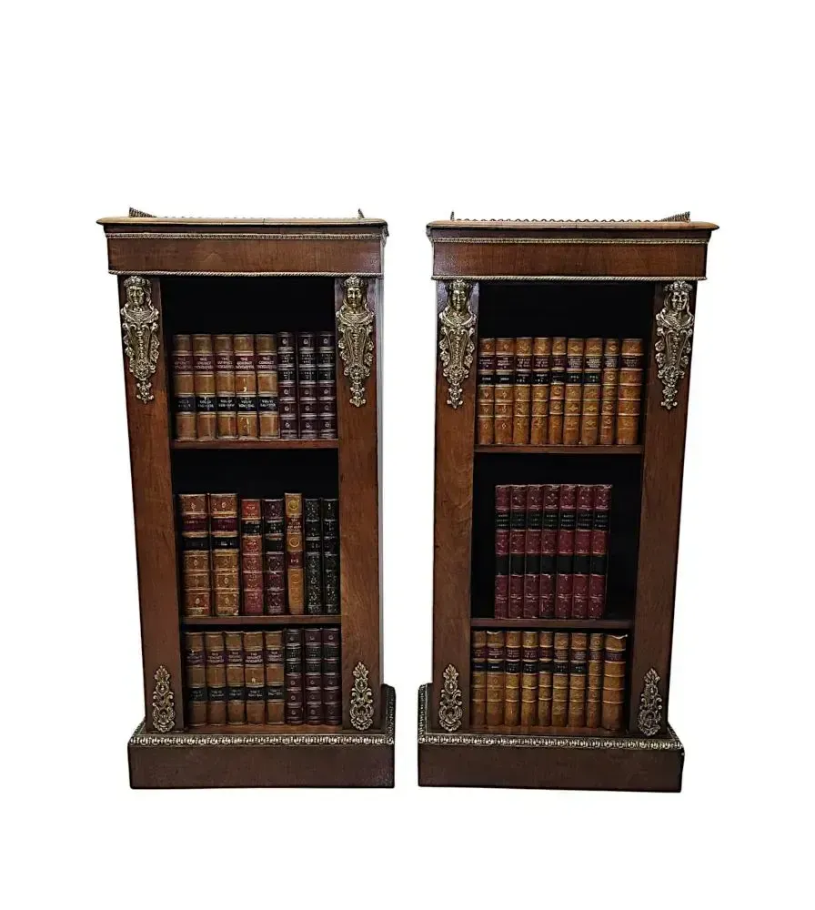 A Very Rare Pair Of 19th Century Bookcases With Ormolu Mounts photo Furniture