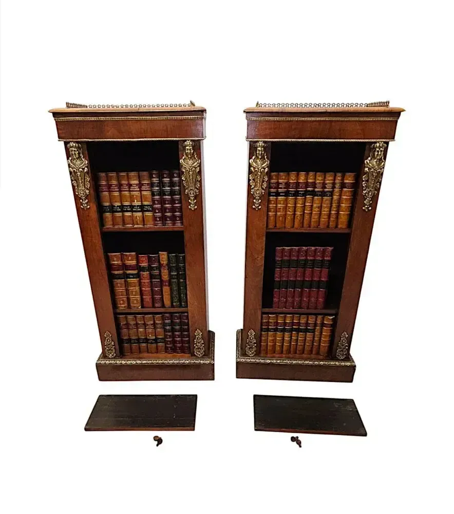 A Very Rare Pair Of 19th Century Bookcases With Ormolu Mounts photo vintage