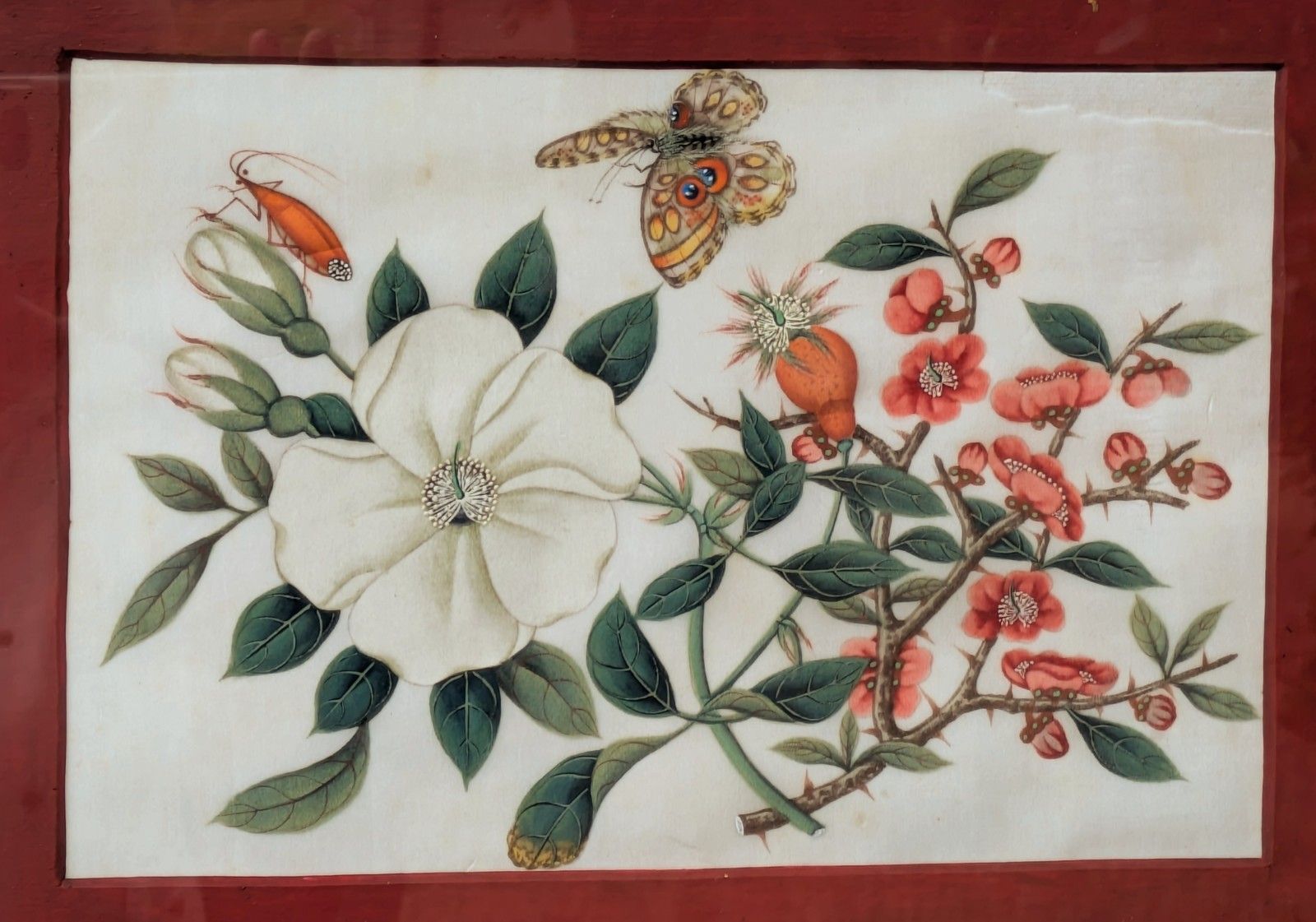 Antique Chinese Watercolour Painting Butterflies And Blossoms photo 185.0