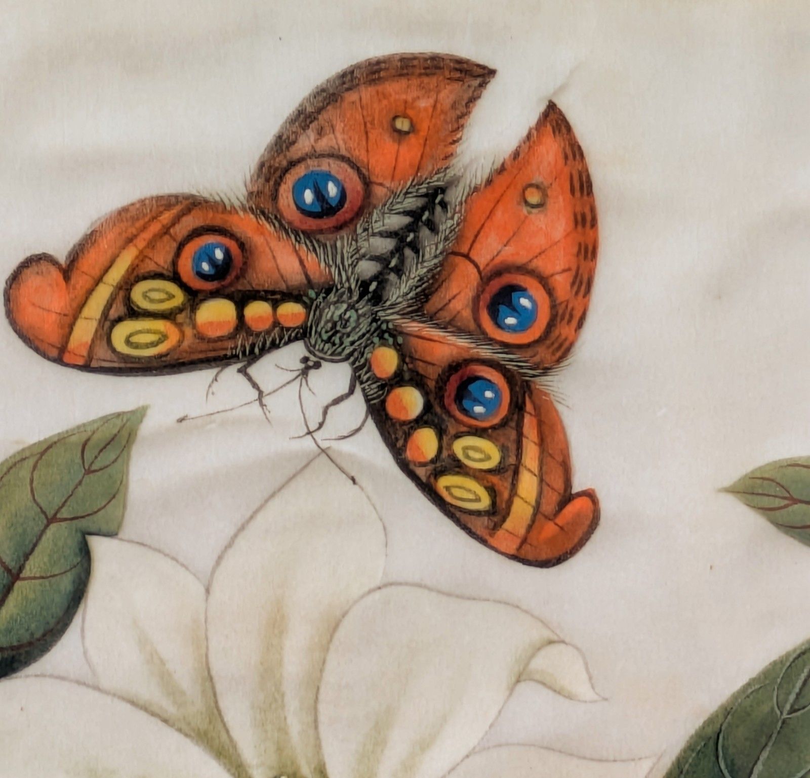 Antique Chinese Watercolour Painting Butterflies And Blossoms photo furniture