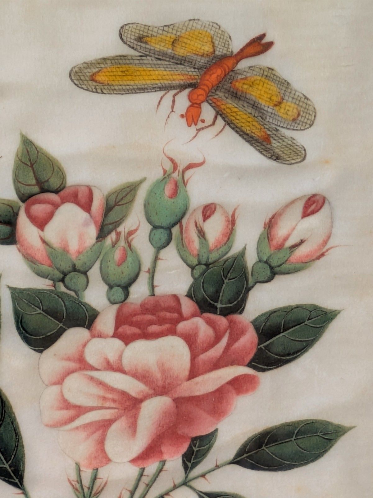 Antique Chinese Watercolour Painting Butterflies And Blossoms photo 185.0