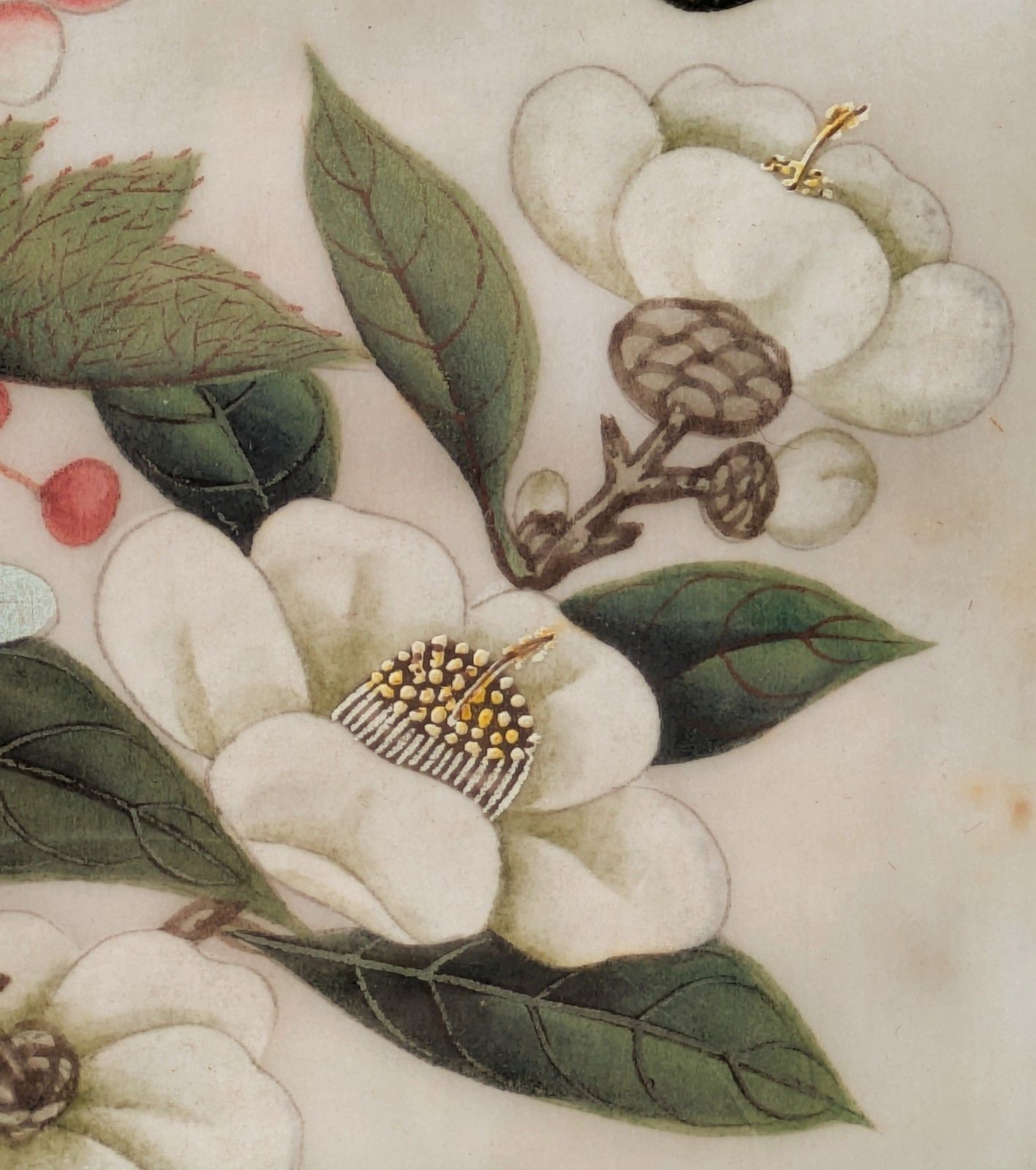 Antique Chinese Watercolour Painting Butterflies And Blossoms photo buy