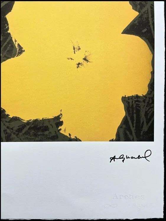 After Andy Warhol, Flowers Yellow, 1980s, Lithograph photo furniture