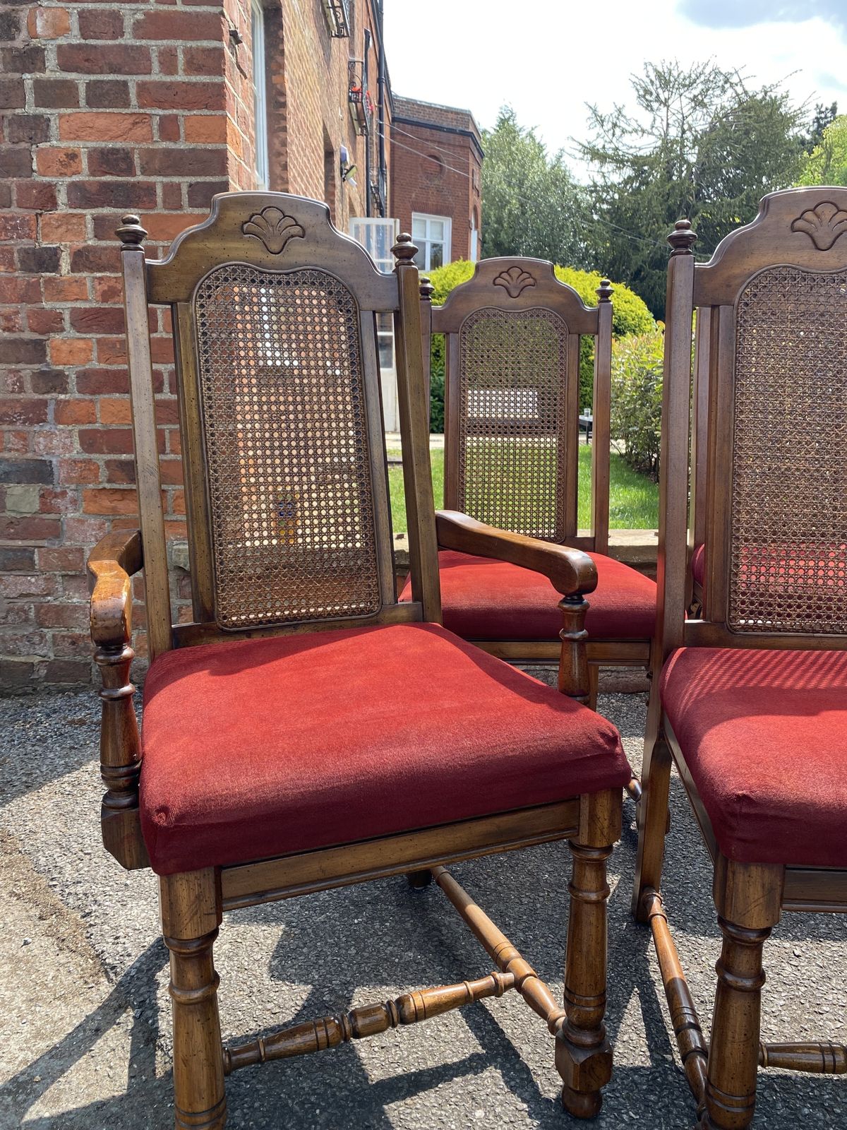 Set Of 8 Dining Rattan/Can Chairs, Maroon Velvet Seat Pads photo Furniture