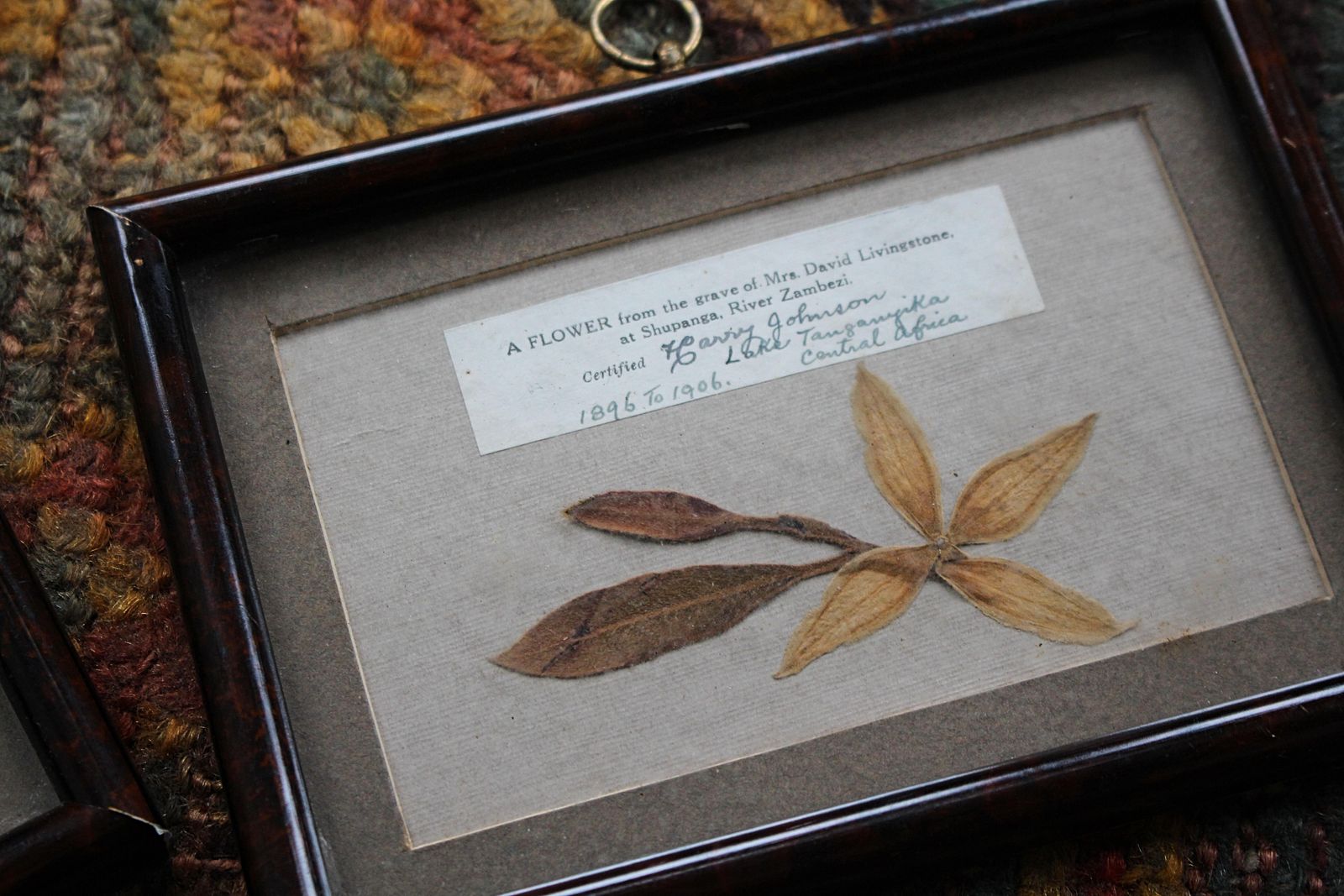 19th Century Mary & David Livingston Memorial Relic Heart Buried Beneath 1896 photo furniture