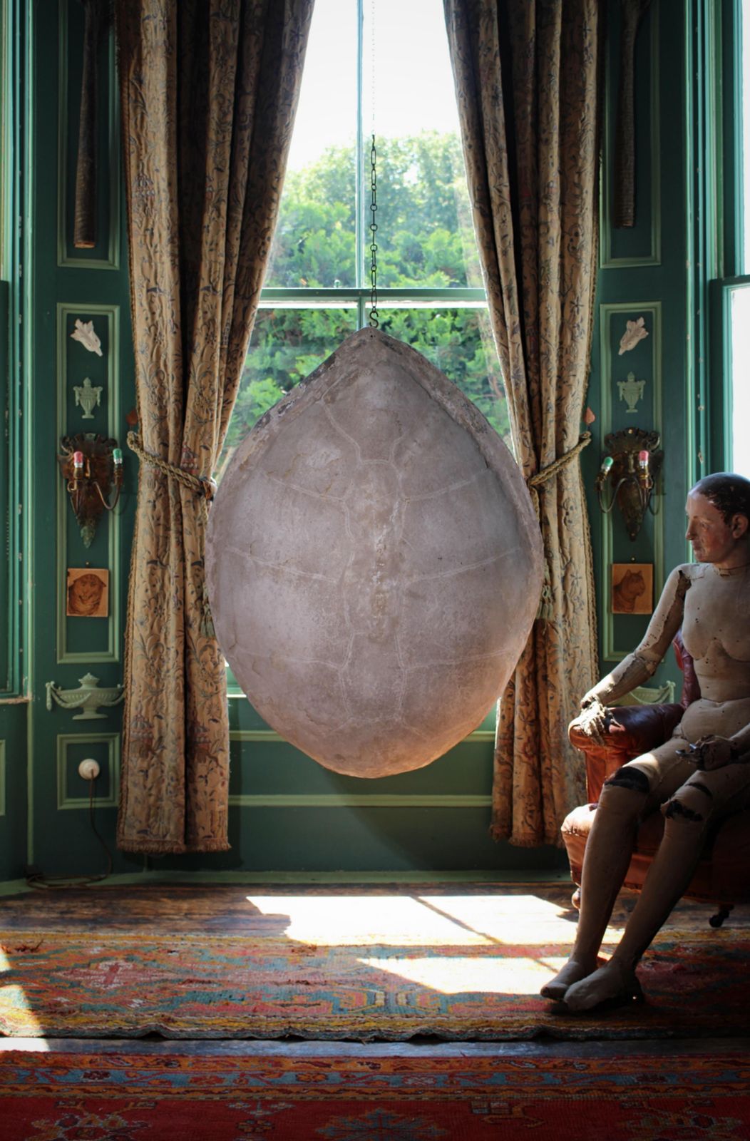 Huge Faux Carapace Giant South American Amazonian River Turtle Shell photo furniture