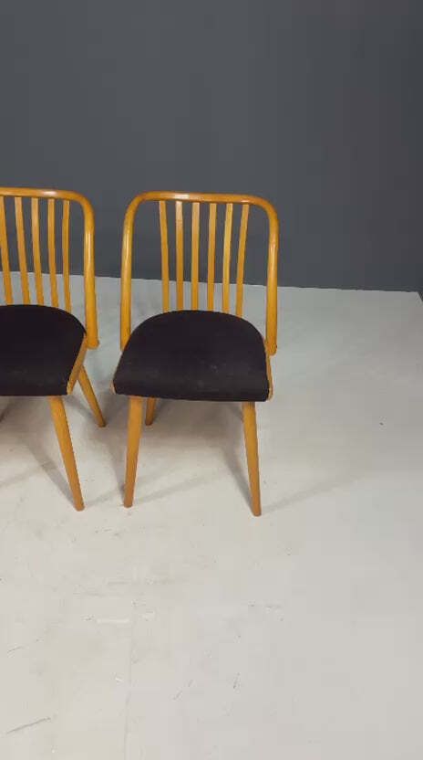 Set Of Dining Chairs By Antonín šuman, Czechoslovakia, 1970s photo buy