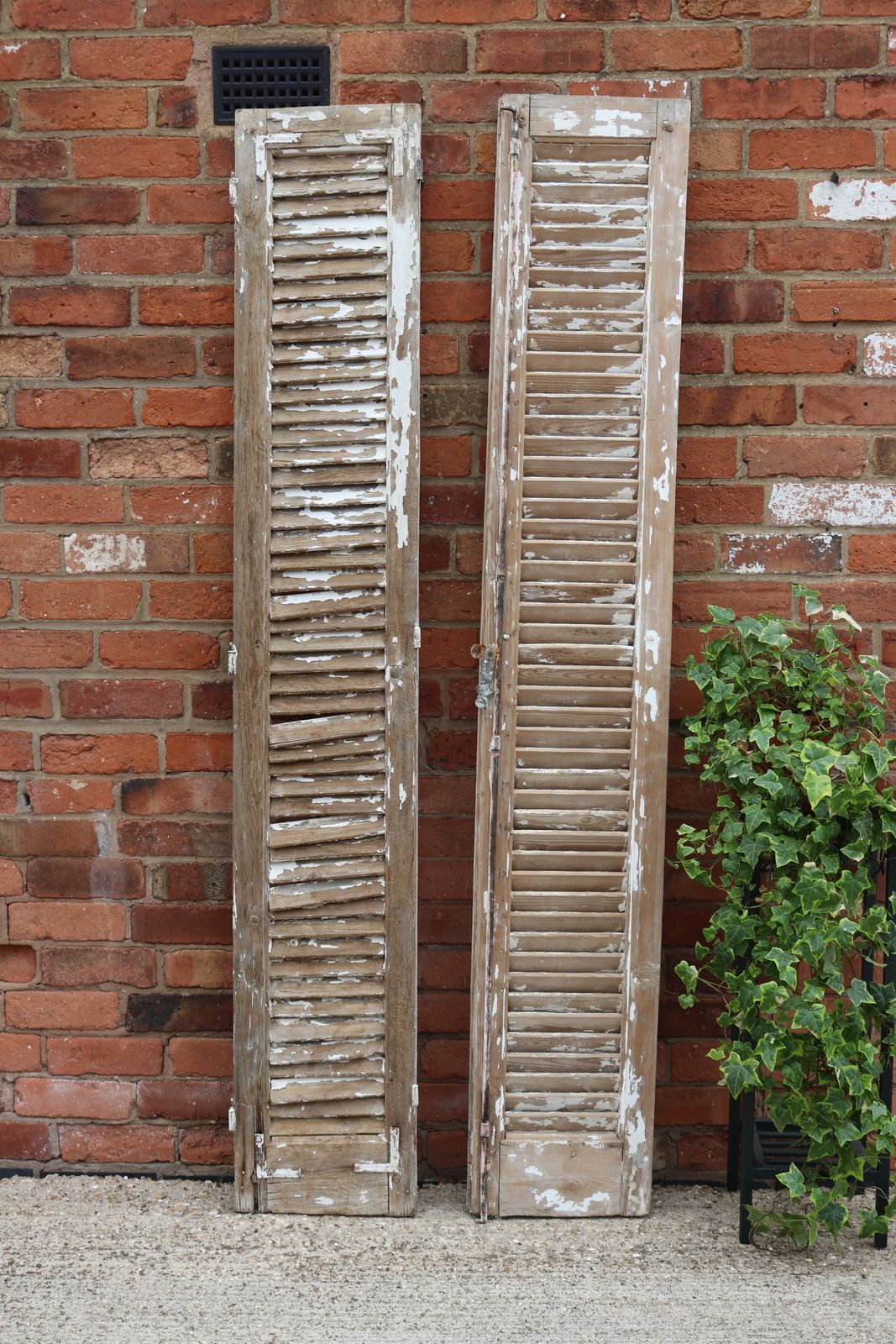 photo buy 2 X Antique Slim French Shutter, 1920s