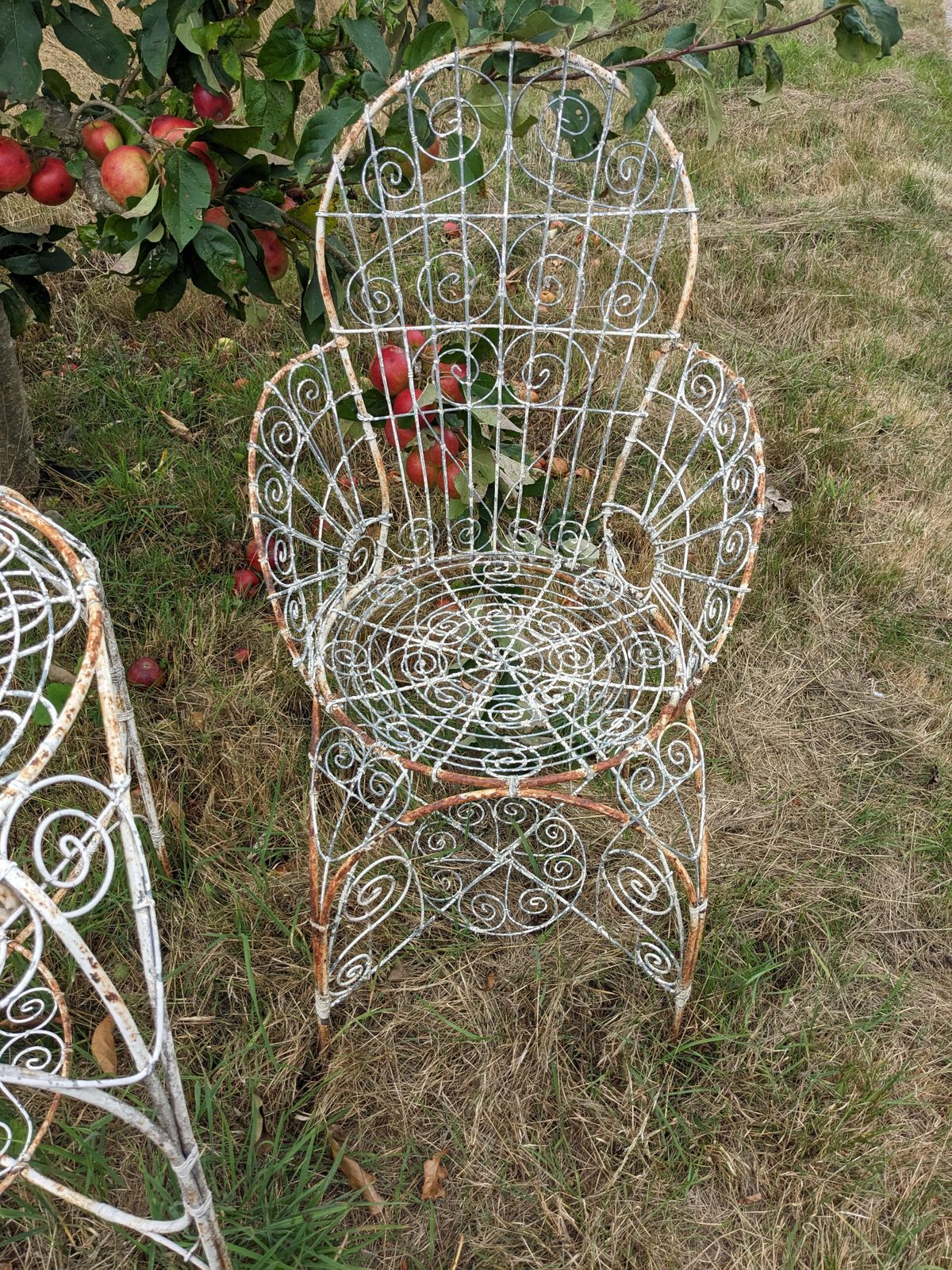 Wirework Garden Table & Chairs photo vinterior
