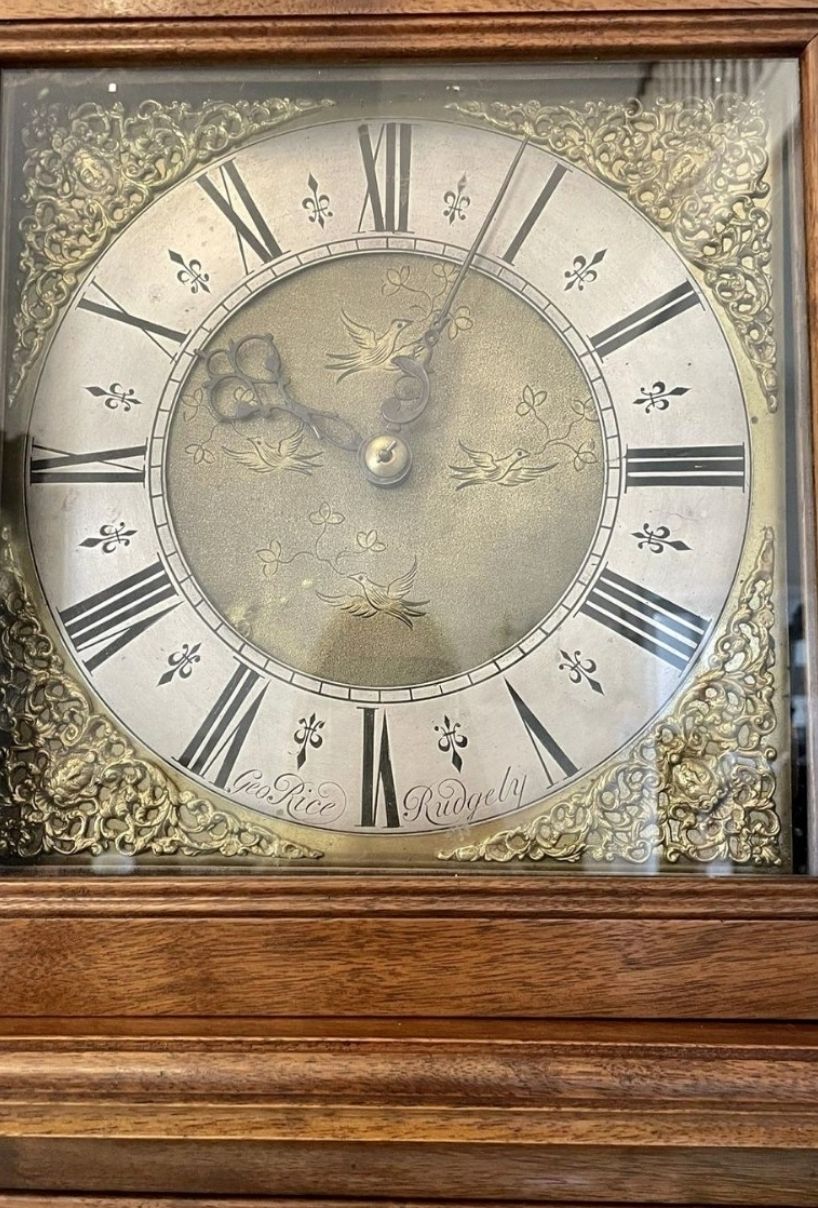 Antique Brass Face Quality Walnut Long Case Clock By George Rice Of Rudgely photo vintage