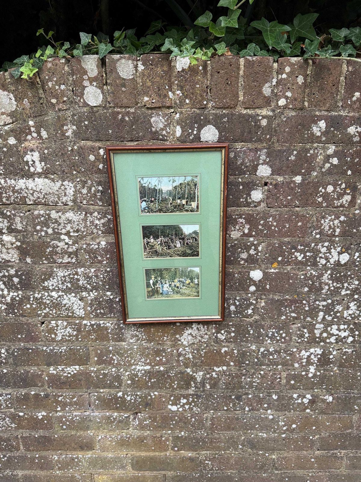 Antique Edwardian Hop Picking   Kent Series   Invicta   Hand Tinted Postcards With Original Stamps, Kent Memorabilia, Incl Italian Address photo vintage