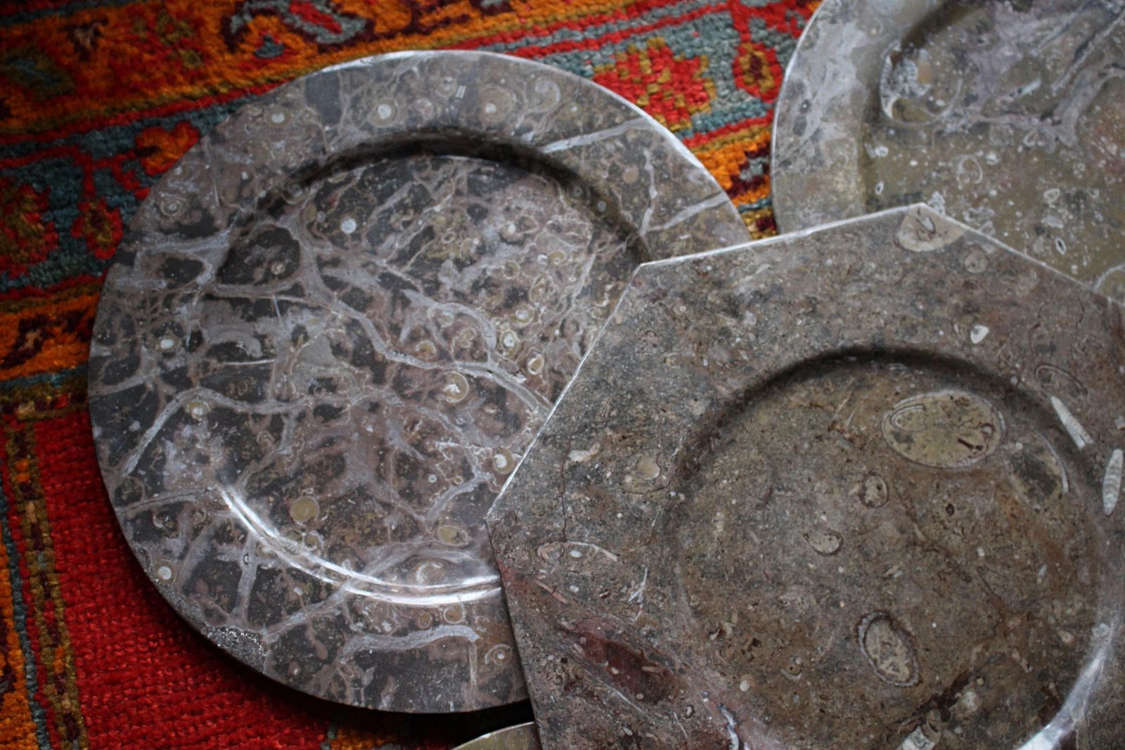 photo furniture Eight Orthoceras & Ammonite Fossil Plates Platters Chargers Natural History