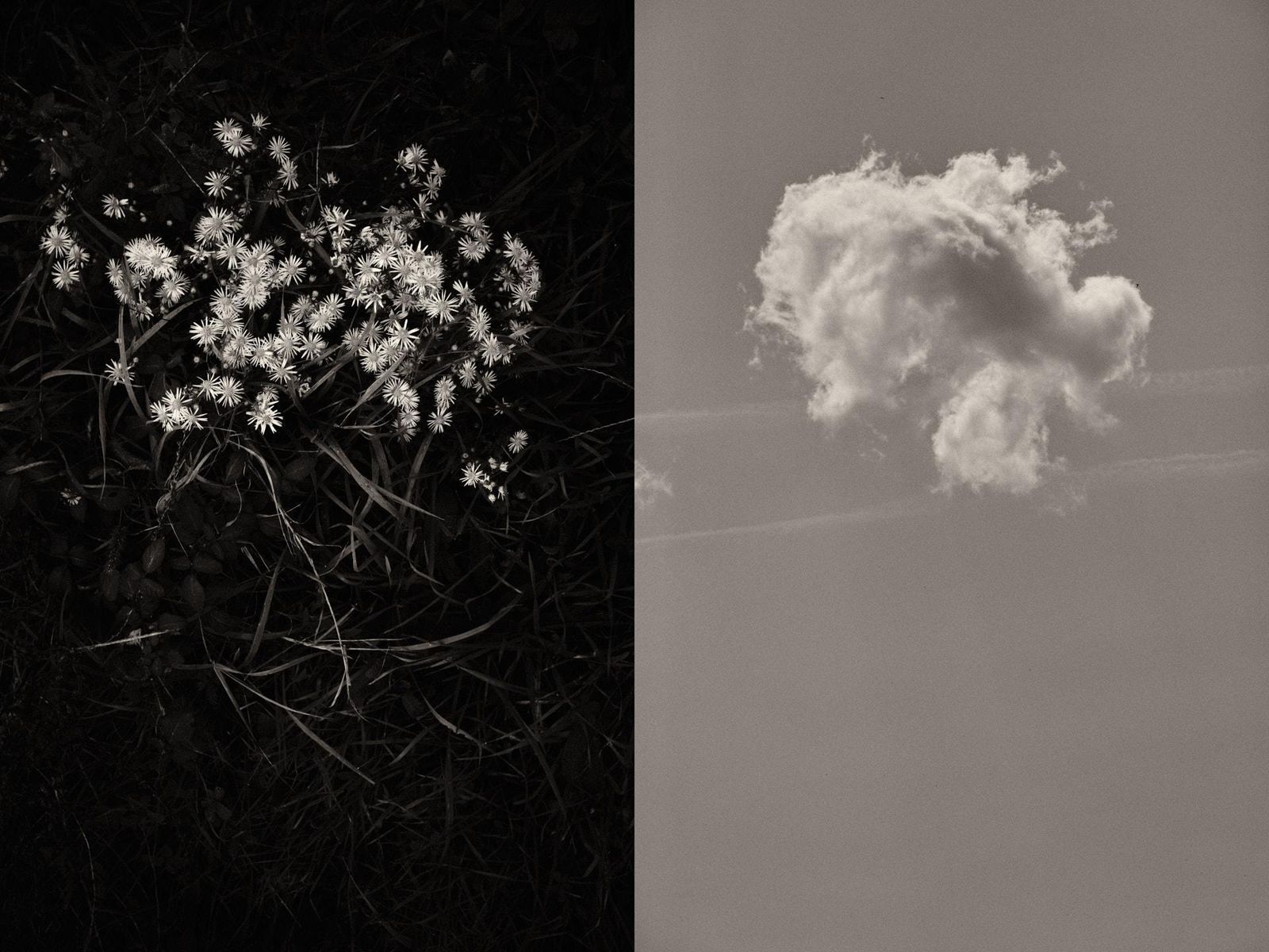 Jaume Llorens, 21st Century, Contemporary