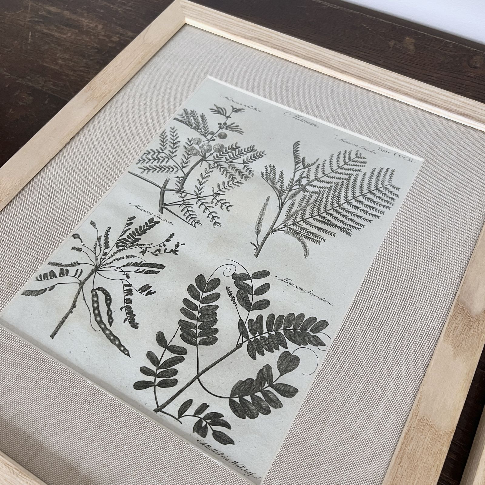 Framed Prints photo 165.0
