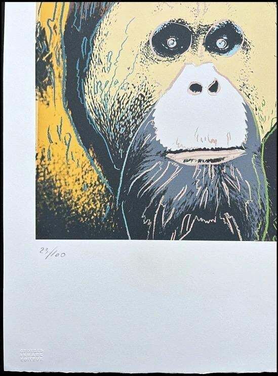 After Andy Warhol, Orangutan Brown , 1980s, Lithograph photo furniture