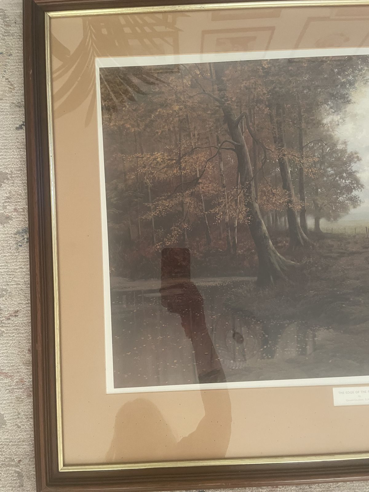 Signed Framed Print By Gerald Coulson The Edge Of The Forest photo Art
