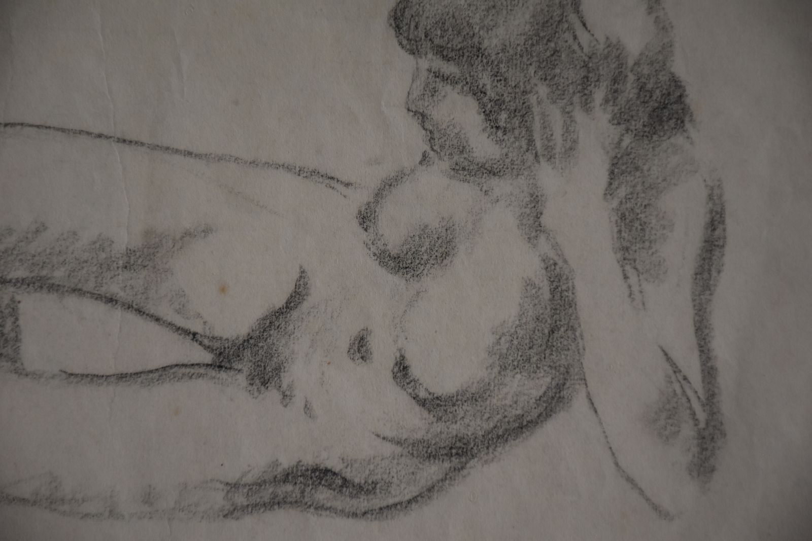 Joaquim Claret, Reclining Nude Woman (1914)   Claret Worked With Maillol photo 150.0