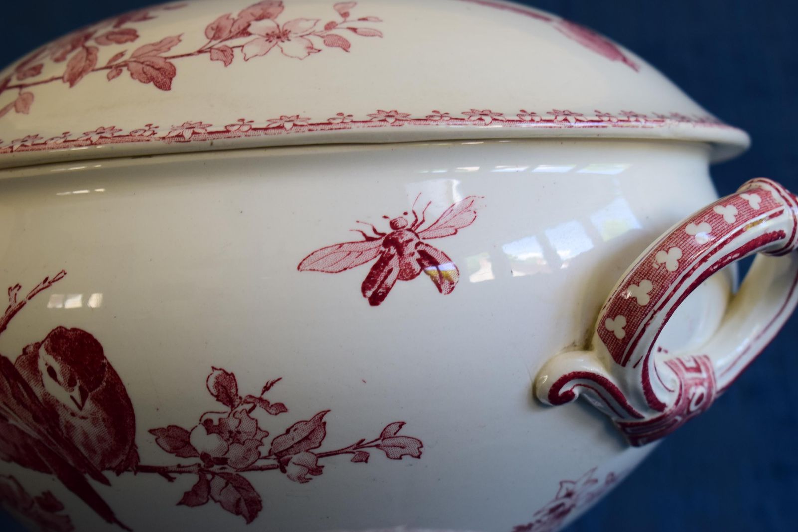 Sarreguemines Red Favori Soup Tureen, Antique French Birds Ironstone photo 208.0