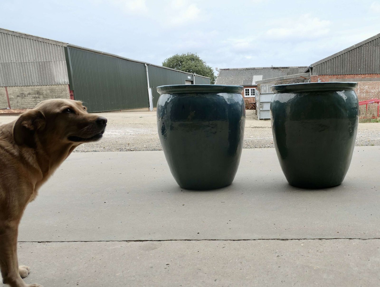 A Pair Of Large French Turquoise Garden Tree Planters photo for sale