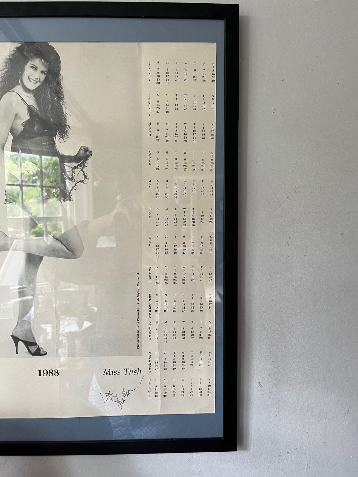 The Tushery 1983 Calendar Framed Poster Man Cave Bar. Lingerie. USA photo for sale
