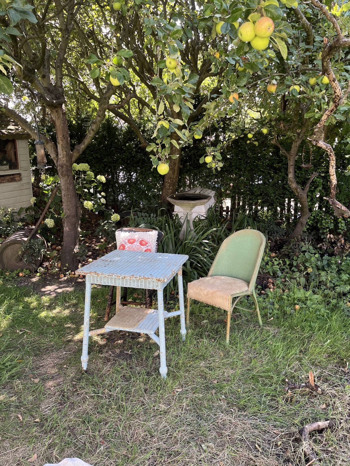 Vintage William Morris Co ‘Sirrom’ Flat Weave Chair In Pea Green & Vintage Sanderson Seat Fabric photo buy