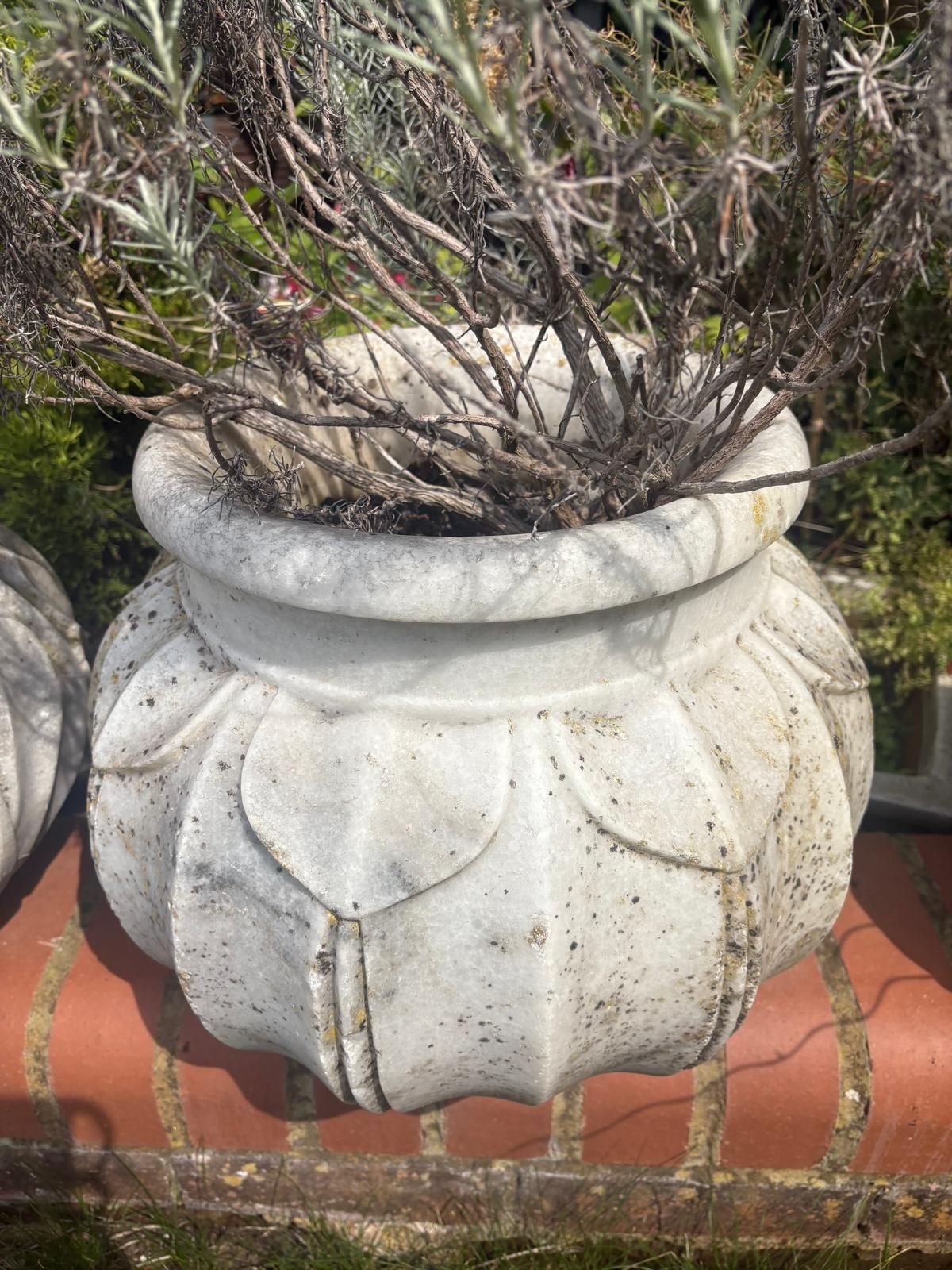 Variety 20th Century Hand Carved  Marble Planters Leaf Pattern, Scalloped / Round Top photo furniture