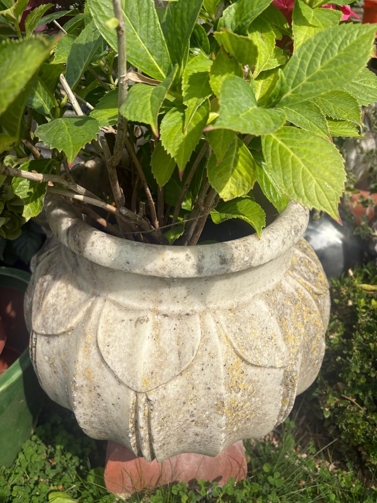 Variety 20th Century Hand Carved  Marble Planters Leaf Pattern, Scalloped / Round Top photo buy