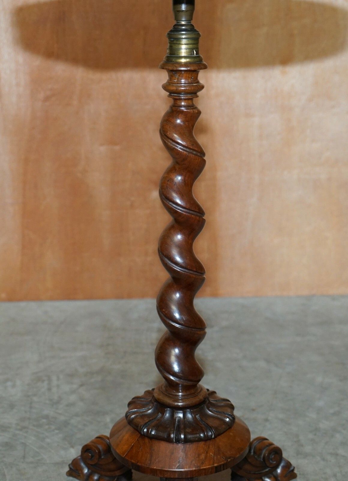 Antique William IV 1830 Rosewood Side Table + Grand Tour Cameo Display Case Top photo vinterior