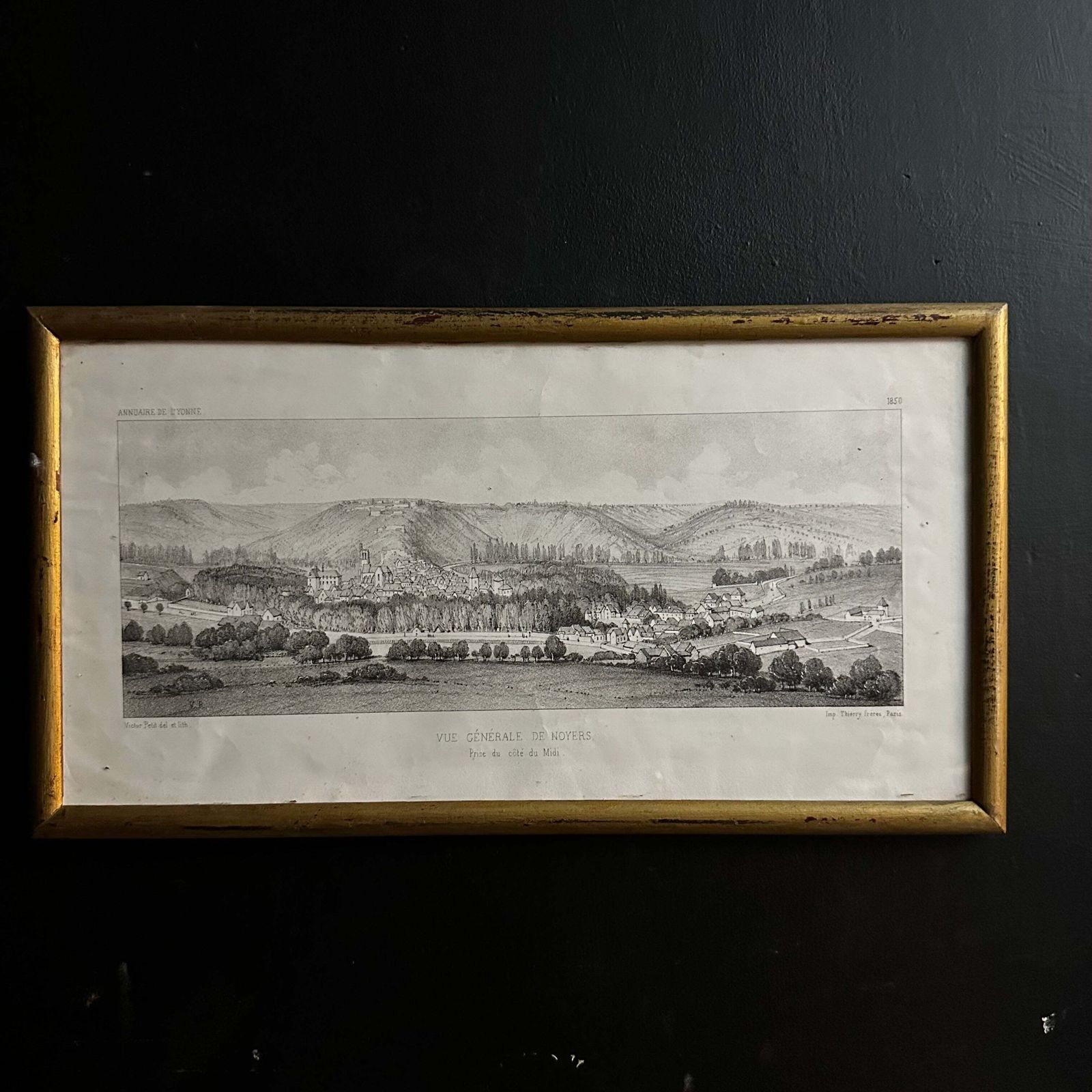 Victor Petit “General View Of Walnut Trees” (1850) French Antique Lithograph