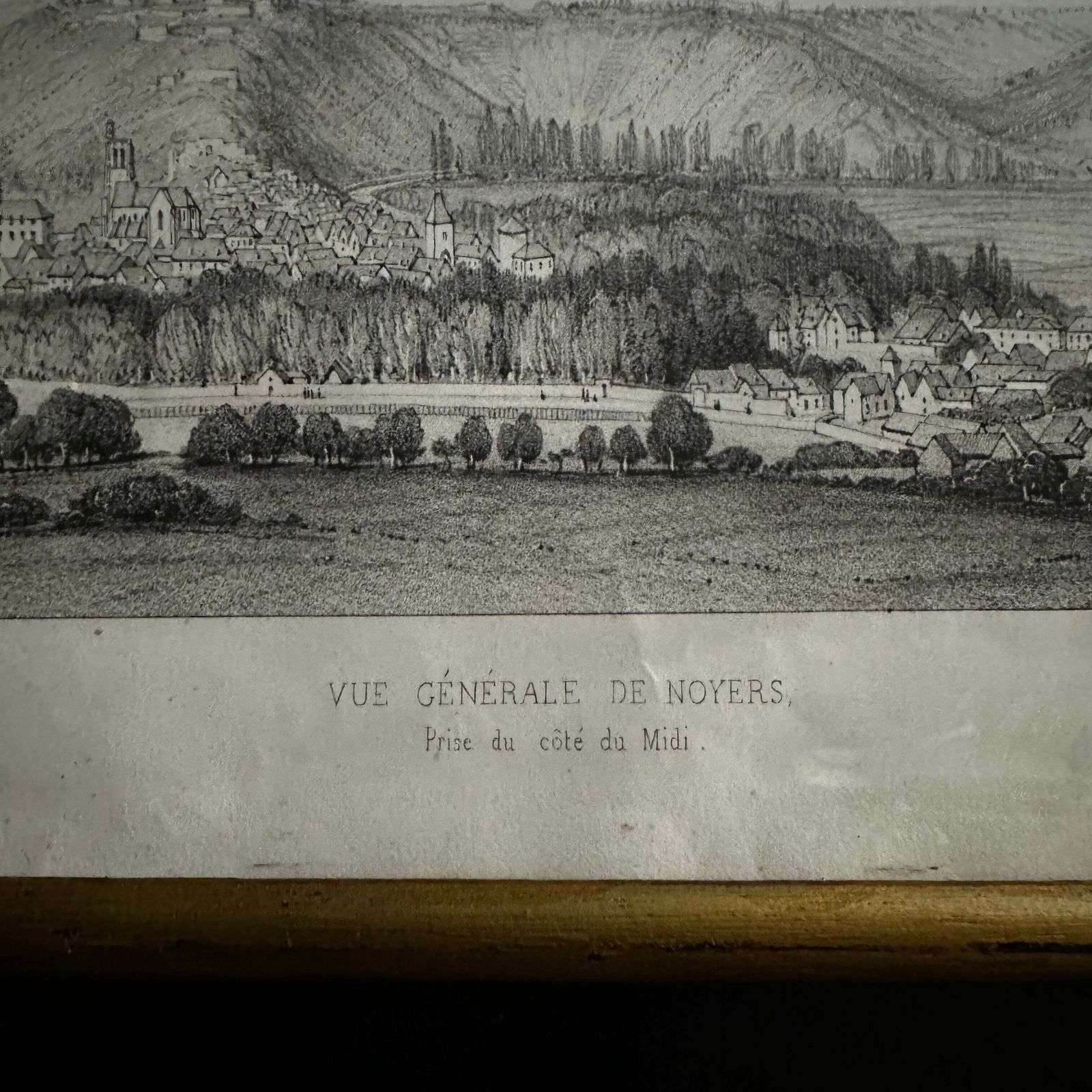 Victor Petit “General View Of Walnut Trees” (1850) French Antique Lithograph photo furniture