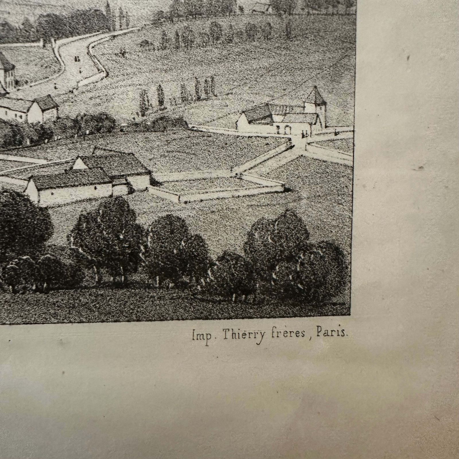 Victor Petit “General View Of Walnut Trees” (1850) French Antique Lithograph photo vinterior