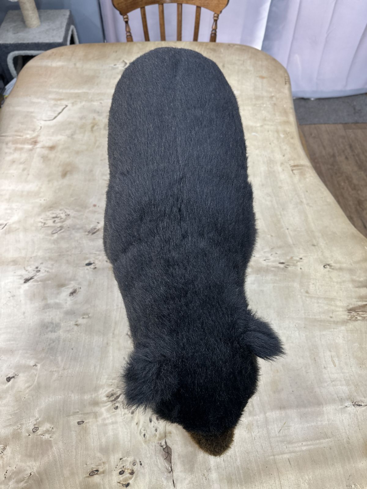 Ditz Designs By The Hen House Inc Black Bear Footrest Made In Norwalk, Oh, USA photo Furniture