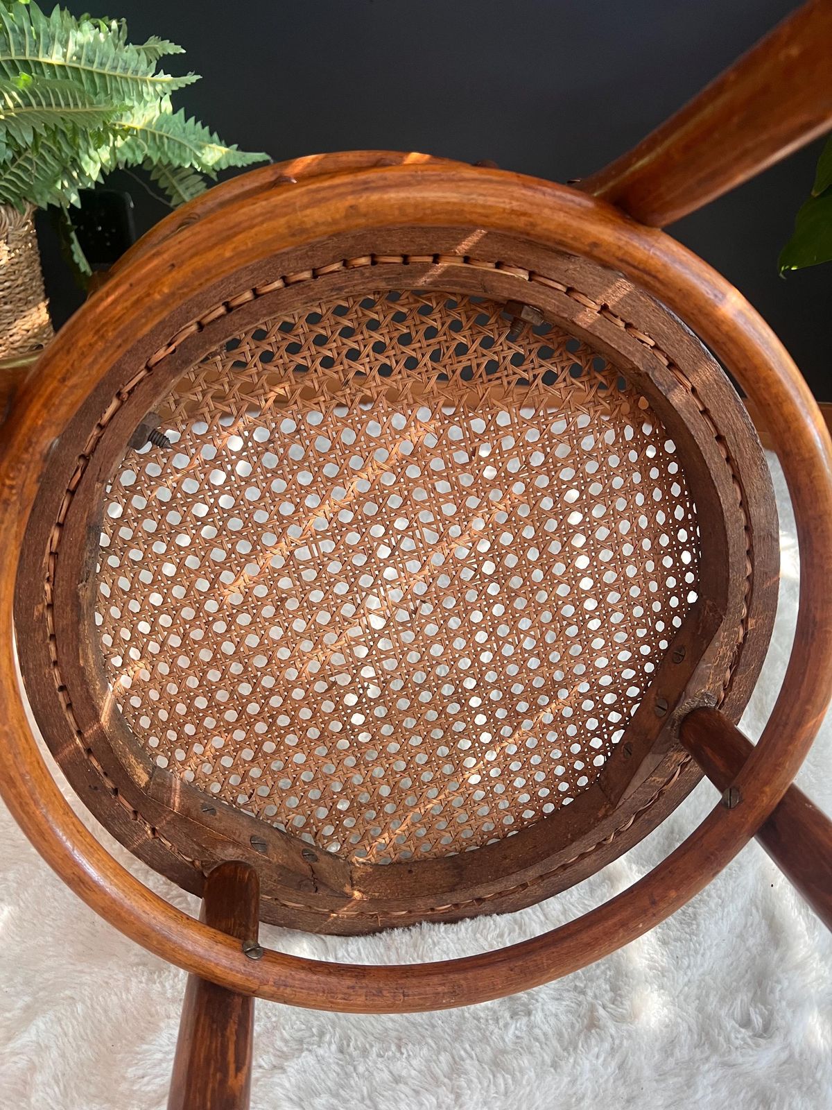 photo furniture Rare Thonet No. 98 Bentwood Cane Chair | Authentic Vintage Bistro & Dining Seating | Bohemian Mcm Minimalist Accent