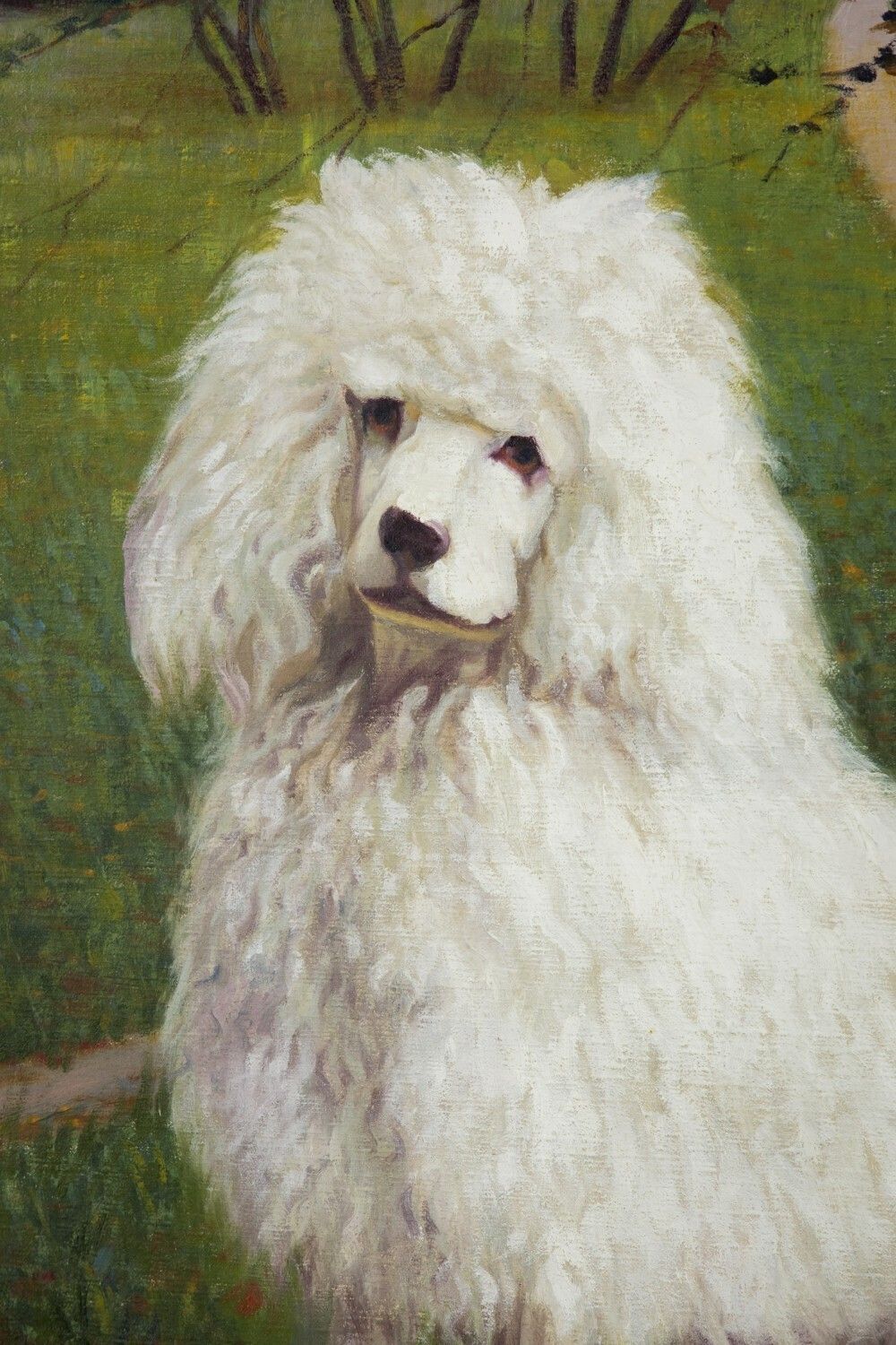 Early 20th Century Oil On Canvas Dog Portrait Of A White Poodle photo for sale