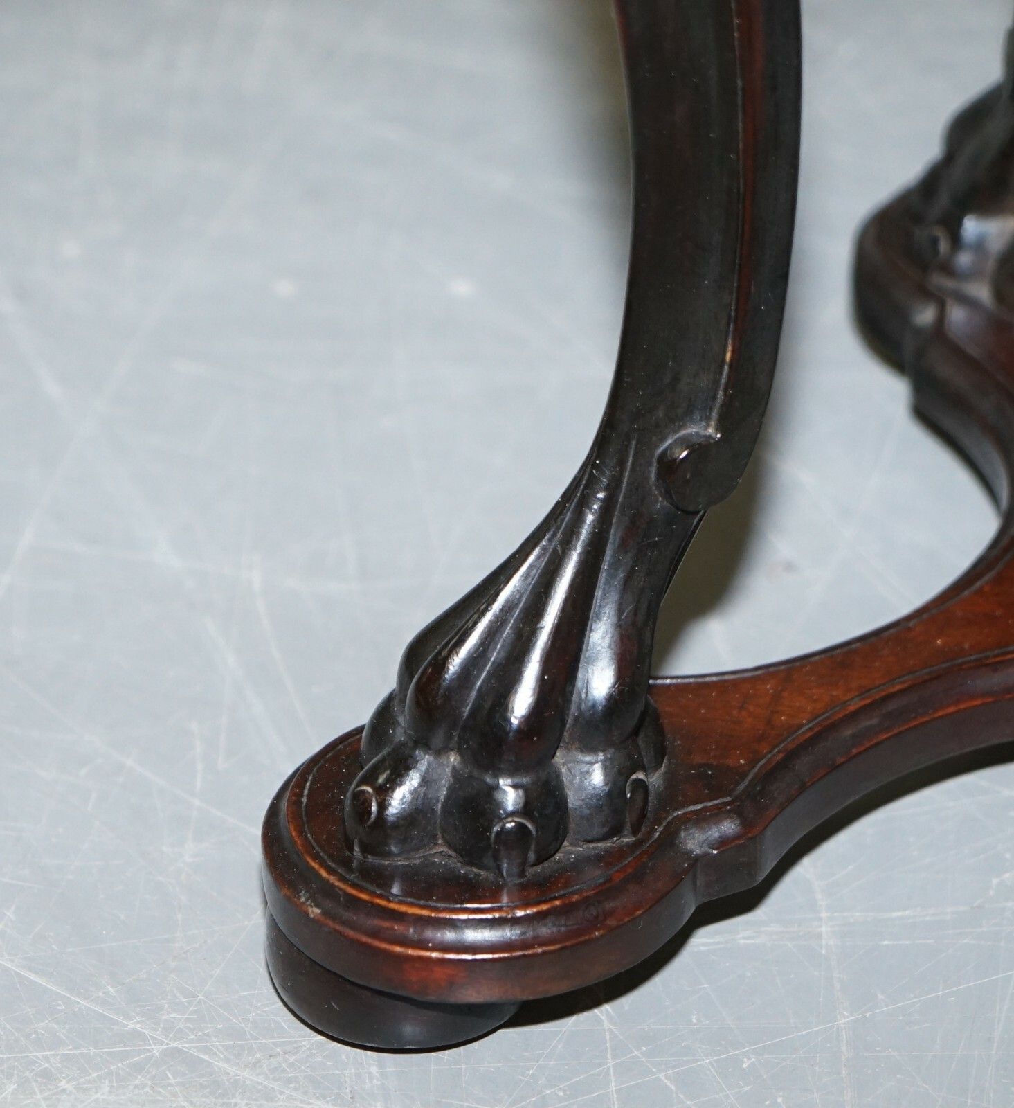 photo furniture Very Rare 19th Century 1880 Italian Venetian Grotto Fantasy Stool Height Adjust