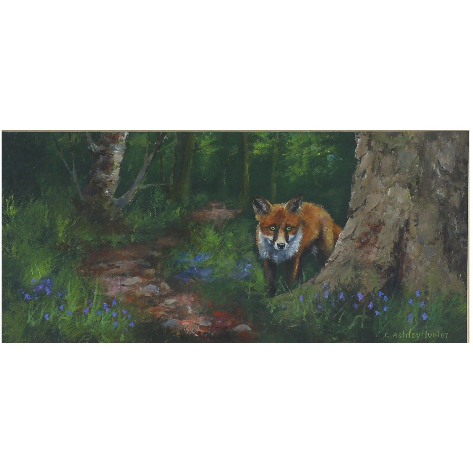 Oil On Board Behind Glass By Gordon Ashley Hunter. Fox And Bluebells. photo furniture