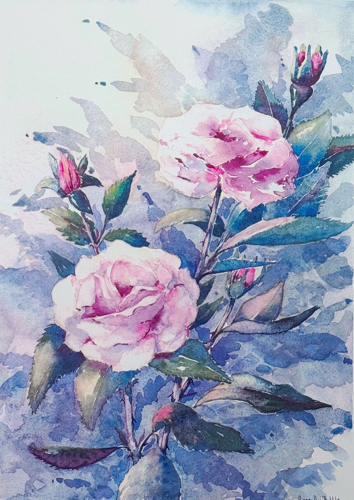 Pink Roses Pencil Signed Limited Edition Contemporary Print By Anne Whittle photo furniture