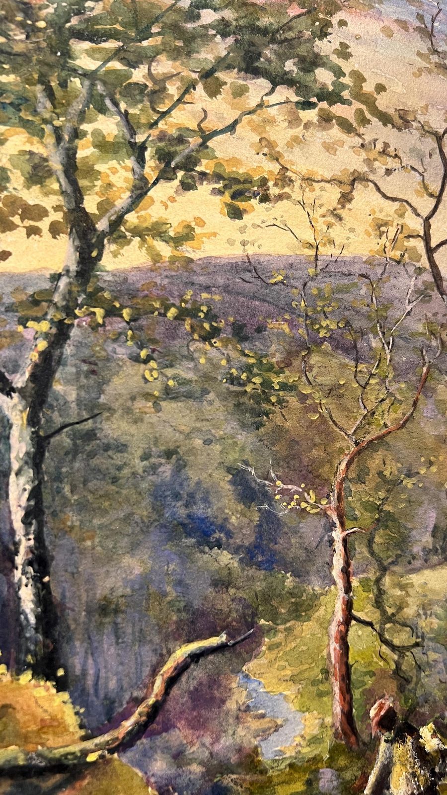 Early 1900s Edwardian Watercolour Landscape Picture – Sunset Hills And Woodland Walk photo buy