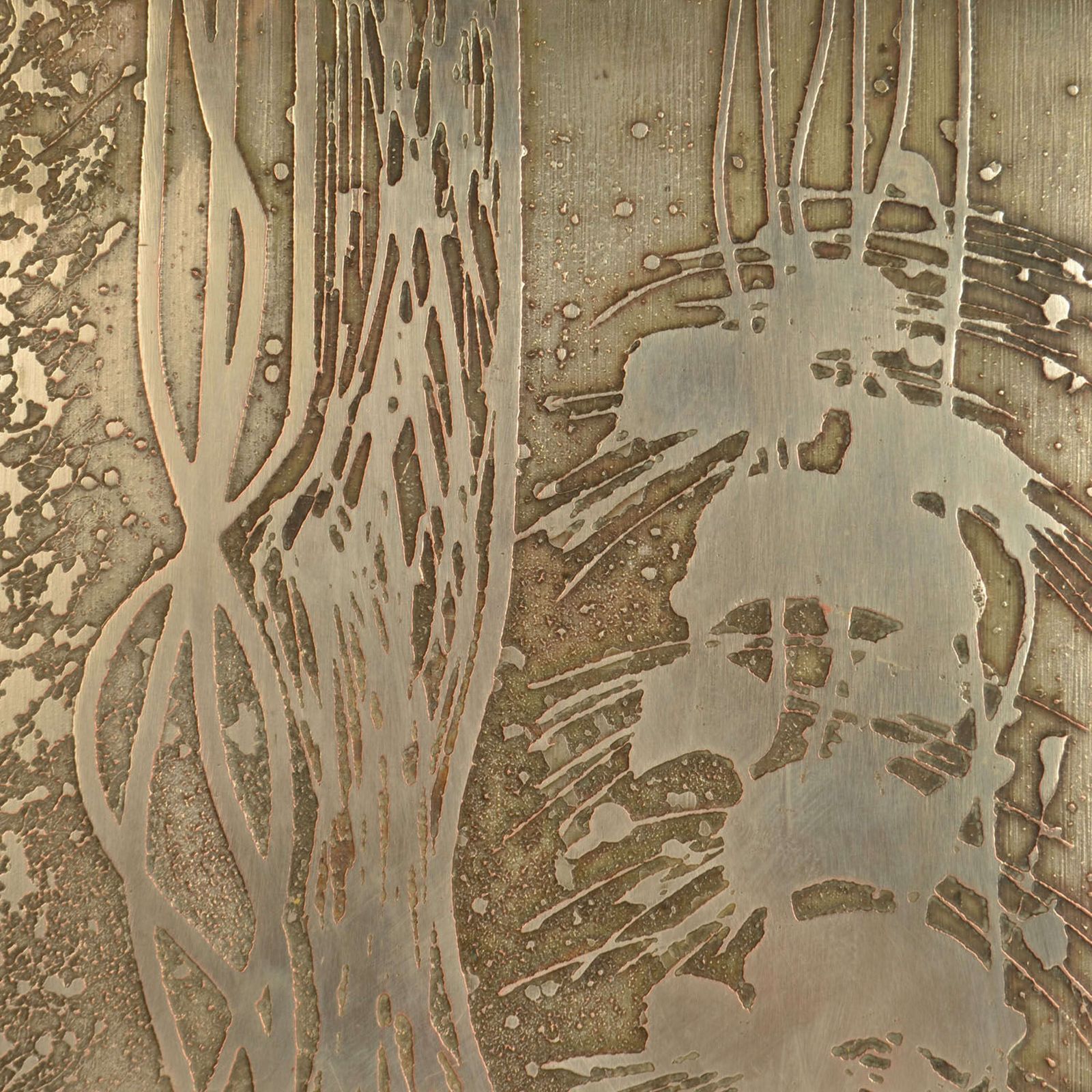 Large Double Door Handles With Etched Silver Plated Texture photo vinterior