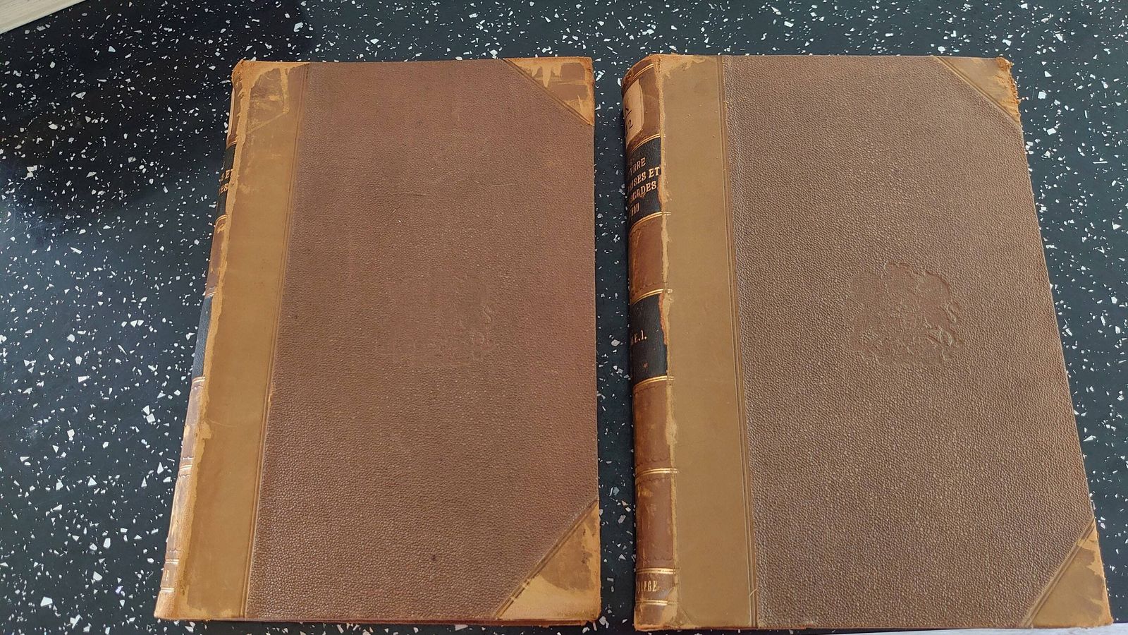 La Guerre De Surprises Et D'embuscades, Quinteau, 1884. Good Collectible Condition. photo for sale
