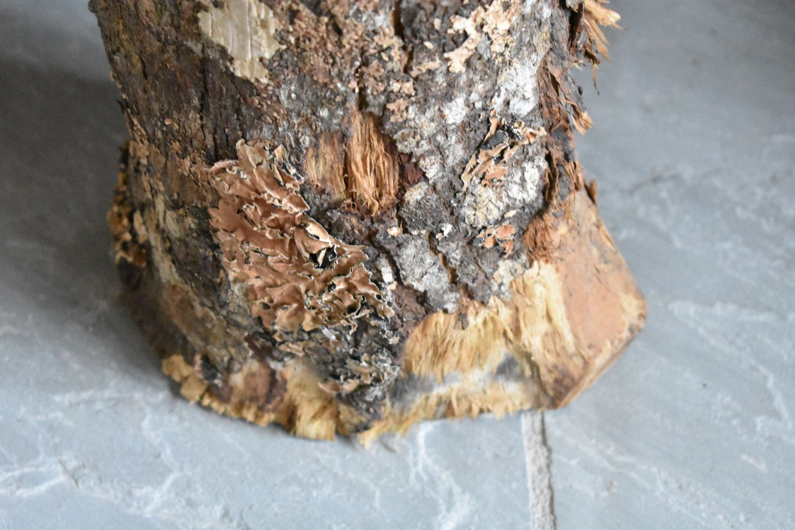 Home Decor Large Wooden Hand Carved Green Man Wood Spirit Log Tree Decorative Statue photo