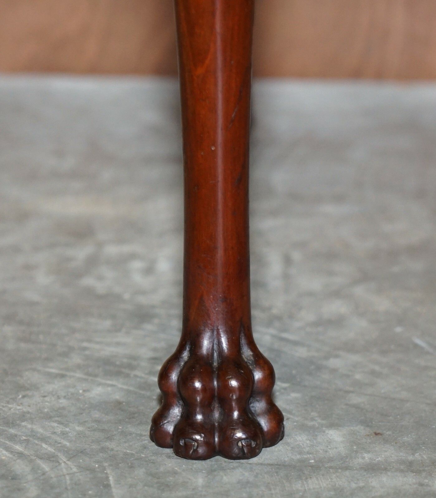Pair Of Antique Honduras Mahogany English Hand Carved Lion Hairy Paw Feet Chairs photo vintage