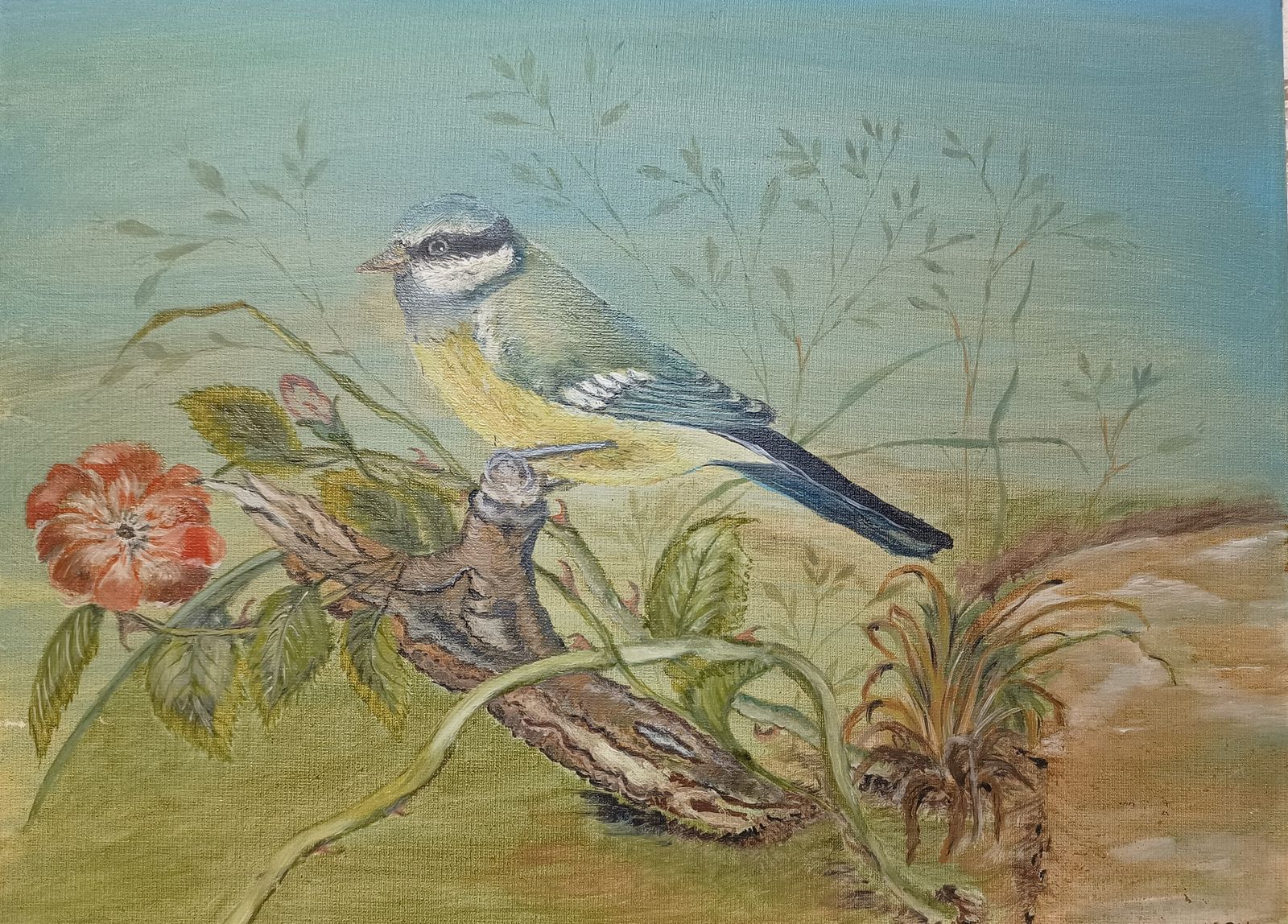Unframed Oil Painting Blue Tit Bird Amongst Brambles And Red Flower Signed E.R.Wilson. photo furniture
