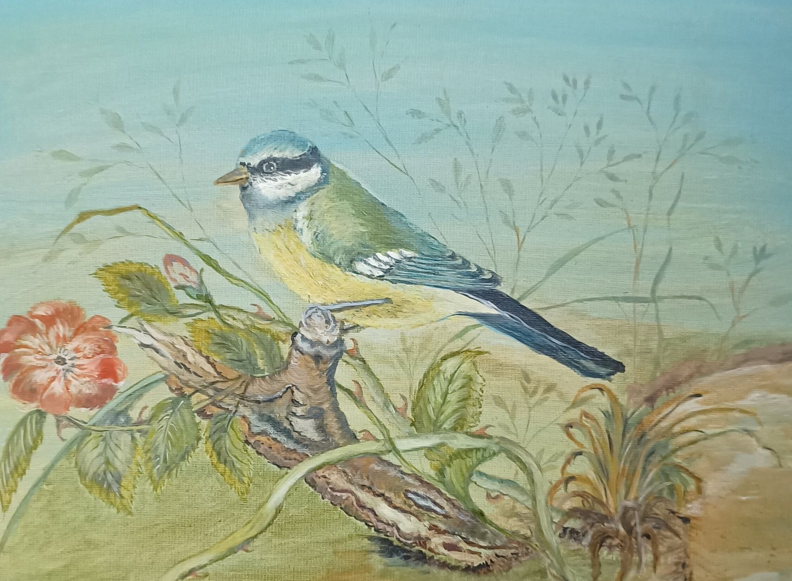Unframed Oil Painting Blue Tit Bird Amongst Brambles And Red Flower Signed E.R.Wilson. photo vinterior
