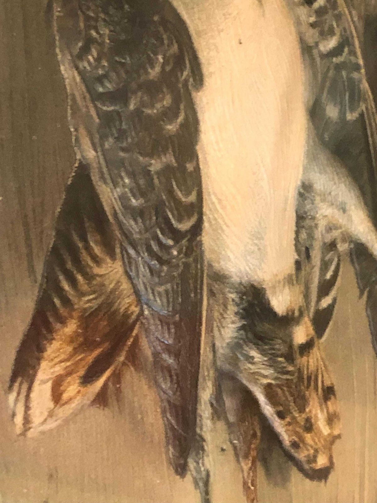Late 19th Century Trompe L Oeil Study " Woodcock And Snipe " photo buy