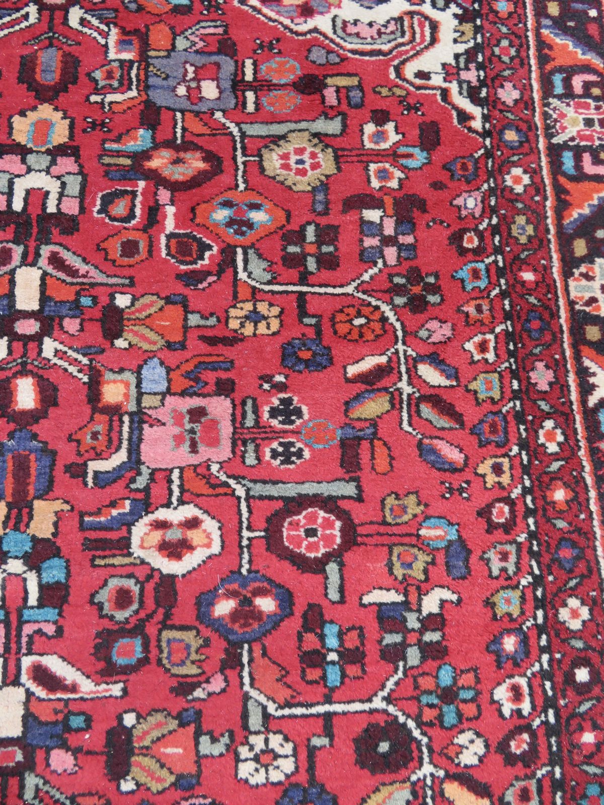 photo for sale Hamadan Kelleh Carpet Large Sized Rug. 320cm X 163cm.