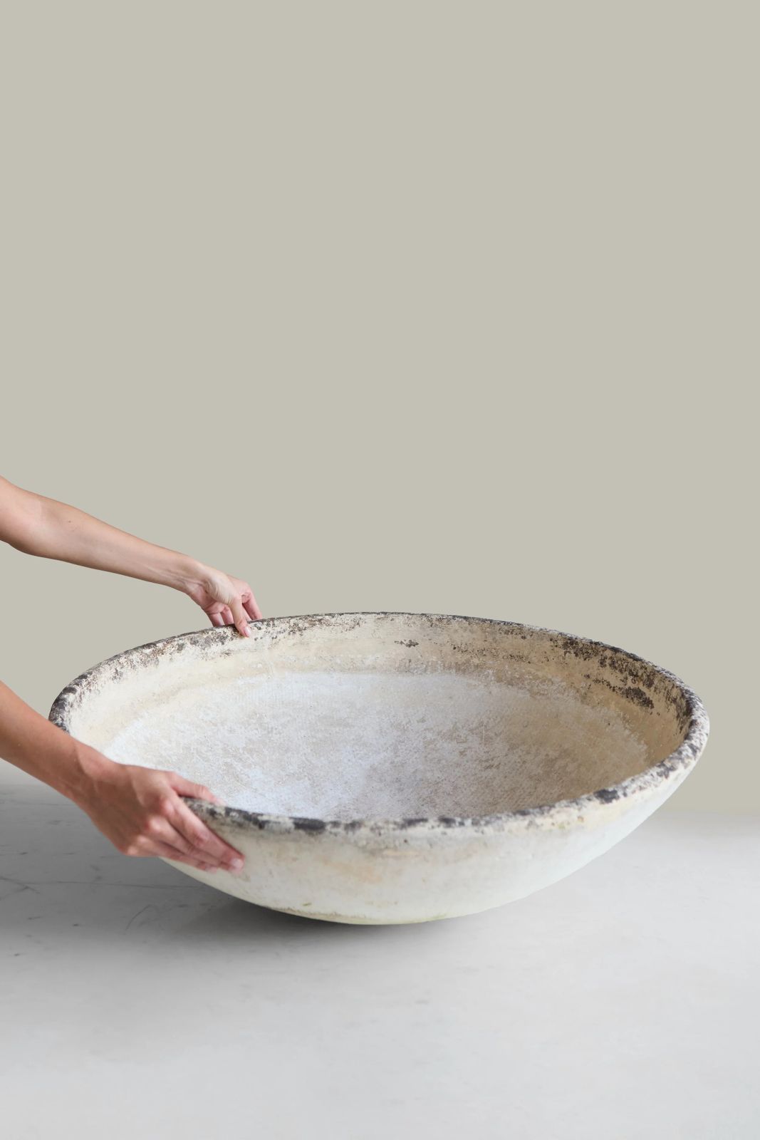 Large Saucer Planter, Willy Guhl photo furniture