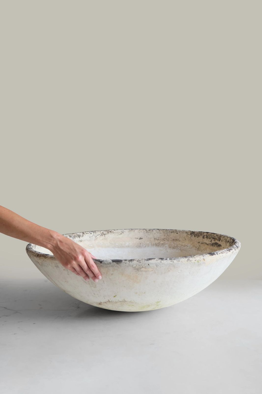 Large Saucer Planter, Willy Guhl photo for sale
